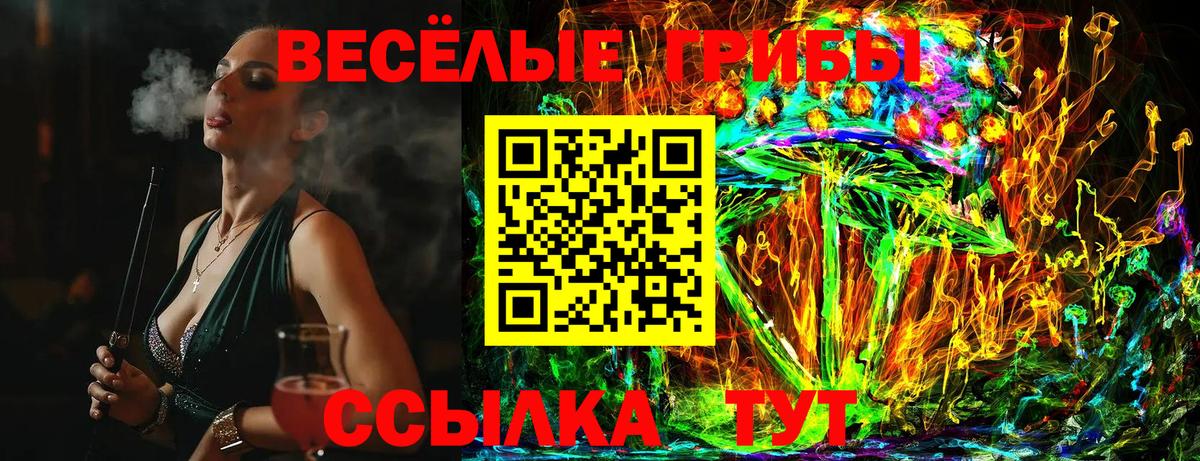 Псилоцибиновые грибы Cubensis Будённовск