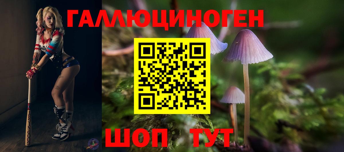 Будённовск  Галлюциногенные грибы Magic Shrooms  Псилоцибиновые грибы Magic Shrooms  Вход с VPN 